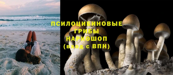 MESCALINE Баксан
